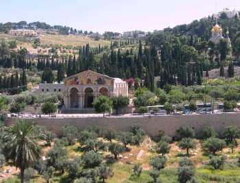 Churches on the Mt of Olives