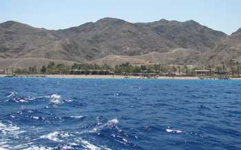 Eilat holidays: the coral reef nature preserve
