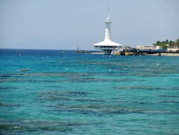 Holidays in Eilat: the Eilat Underwater Observatory