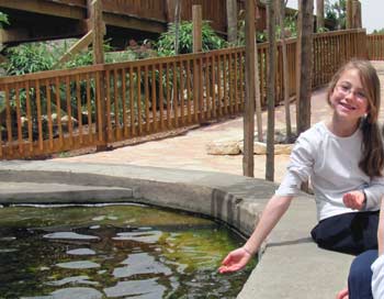 Feeding the fish at the Jerusalem Biblical Zoo