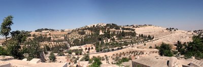Mt of Olives panorama