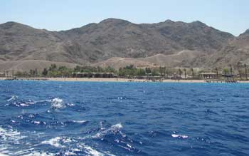 Eilat holidays: the coral reef nature preserve Eilat holidays: the coral reef nature preserve