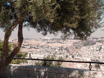 view of Jerusalem from the Haas Promenade