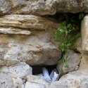 prayers in Western Wall