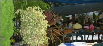 Jerusalem restaurant terrace Jerusalem restaurant terrace