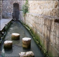 pool of Shiloah Jerusalem